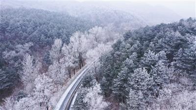 中国网络文学市场竞争激烈:起点中文网、创世中文网、纵横中文网等平台大比拼